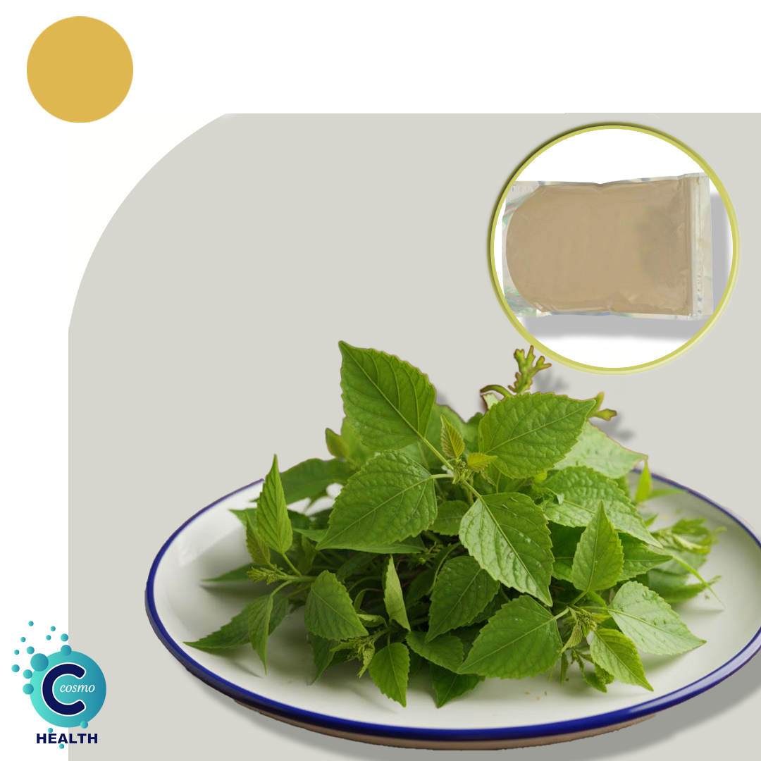 KUPPAIMENI ILAI (Indian Nettle Leaf Powder)